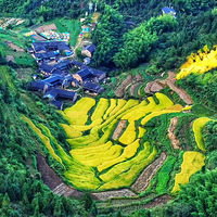 �ɾ�ͽ�� ������� �ɾ� ���� ͽ�� �ǿ�¶Ӫ ���� ����� ����