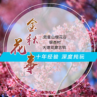 11-12������ ��ȴ��� �ڳ����� ����ɽӣ���� ��������ŵ�˹Ŵ�