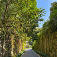 �������ν�̳�¹�Ҥ��ַ