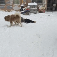 ϷСԹװթʬ㡭ûˣ