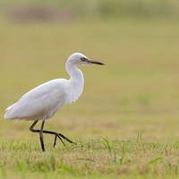 ��������Ĺ�����������ȹ����������ʱ��