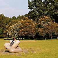 ���������⣬���̵Ĳ�ƺ��