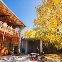 �ڳ����Ӵ�|�����ڵ����ϱ������ɫ