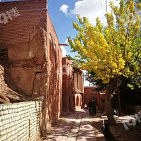 ��Сë¿������