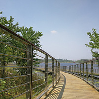 ���ӹ�԰ľջ��