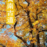 �����Ϲŵ����ؼ�99Ԫ������ѻ����������Ҷ�����Ϲŵ��㲽