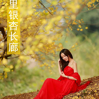 ��ʮ�����ӳ��ȡ��ؼ�140Ԫ����Ũ������ʮ�ﳤ�ȣ�Ʒ��ǧ������