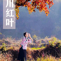 ��������Ҷ�������ɽ����������¬�塤�ɾ�����ɽ���������д�