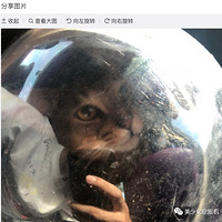 ʷϵһˣƤȴѣݳɻȫ