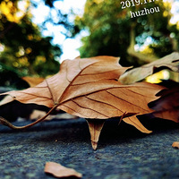 ���ҵ���