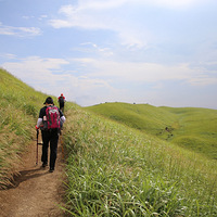 Ϊʲô���ǻ��������⣿