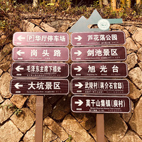 Ī��ɽͽ������ ��ĩ�� ��Ӱ ͽ�� �Լ��� ���� �ٽ�