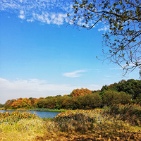 ������é����ˮ���е�����򿨵�