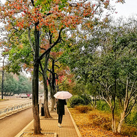 �߹��羰���߽��㡣