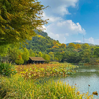 ���ݡ����������ΰ�������ַ��԰�����ռ���