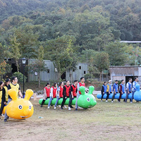 �������Ž������������Ž�Ȥζ�˶�����Ӱ