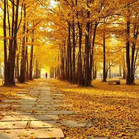 ɨ�Ƽ�����Լ����ʮ������ӳ��ȣ�Ѱ��������ɫ