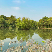 ���ݡ���ʮ�����Ϫʪ����«�ڿ�Ļ����һֱ������2020��Ԫ��