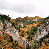 11.16��������ͽ�������̡��ܶ���ַ���͹�������ɫ��ɽ�ݵ顫