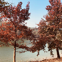 11��10�� ��ĩȥͽ�� �ຼ����ũ��+����ɽ+����ˮ��+����+��Ӱ