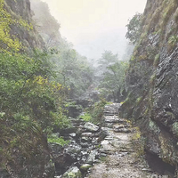 ���˻���ѩ��� ѩ���ŵ�ͽ�� ����ѩ���ǧ����鼹ŵ�һ����