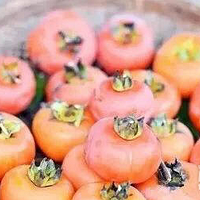 ɽҰ���Ӻ��ˡ����л��ͽ��ǧ���ƹٵ� ���Ͷ�ƺ�Ŵ���ɫ