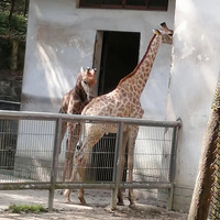 ��������������+���裬����������¹