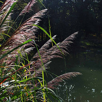 ��δ�����