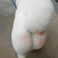 һֹƨƨȿ»ƨƨɰȴû֪