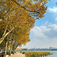 ���ݡ�������ɽ�֡���ͩ�塱