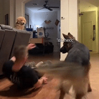 һʺٵŽë͵װ桰ʺˣ