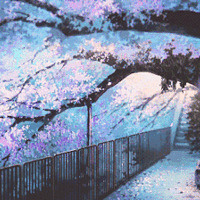 �����裬�Ҳ�����룡������Զ���ĸ�ĸ�����������ӡ�������