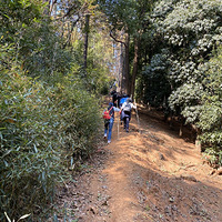 11��17�� ��ĩȥͽ�� �ຼ����ũ��+����ɽ+����ˮ��+����+��Ӱ