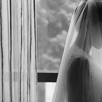 û�Ļ�ɴ�գ�����first look��������ʽ