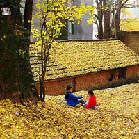 ����̫��Դͷ���߽��ٰ�ָ�ϴ壬̽�û��������Ŵ�