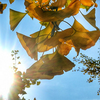 �����Ǹ�������