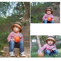 ���������������򿨼ұ��ϵ�С��԰