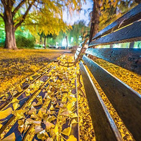 �����11.17��������ʮ������ӳ��ȣ�����������ɫ