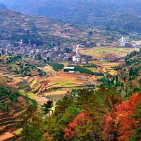 [����ʤ��]11.24�ϻƹŵ��������Ǻ�㣬����������