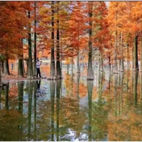 [�߶��ؾ�]11.23Ѱ��������� ����ˮɼȺ��ˢ������Ȧ��ѩ���