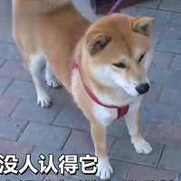 ûƻʳȮֻԻȼ񾯱