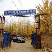 ���߱鱱����2019��11��12��ͽ����ƽ�Ÿ�ׯ������