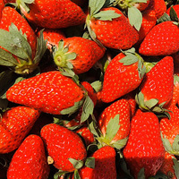 ����һ���ݮ����