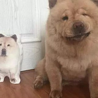 йϵıƶʨȮȴԸ