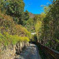 ���ݡ�ͩ®�ء�ݭɽ������·��������Ϧ�Ƶ�