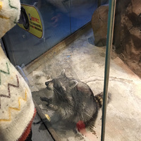 ������������������-δ�������