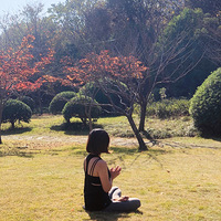 ���������������ų�����Ƭ��