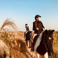 ���������Ӱ��ůɫʱ�⣬ʰ��������·��