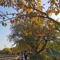 ��������������+�����ΰ�����