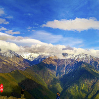 �������� 2020�괺��  ��������  �ټ�������